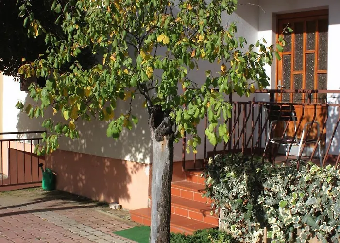 With Parking Space Biograd Na Moru, Biograd - 5899 Apartment