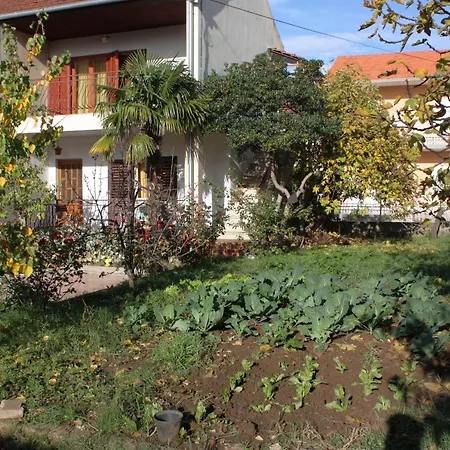 With Parking Space Biograd Na Moru, Biograd - 5899