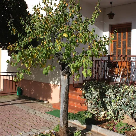 With Parking Space Biograd Na Moru, Biograd - 5899 Lejlighed